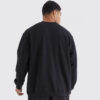 Oversized Dove Graphic Sweatshirt - Image 2